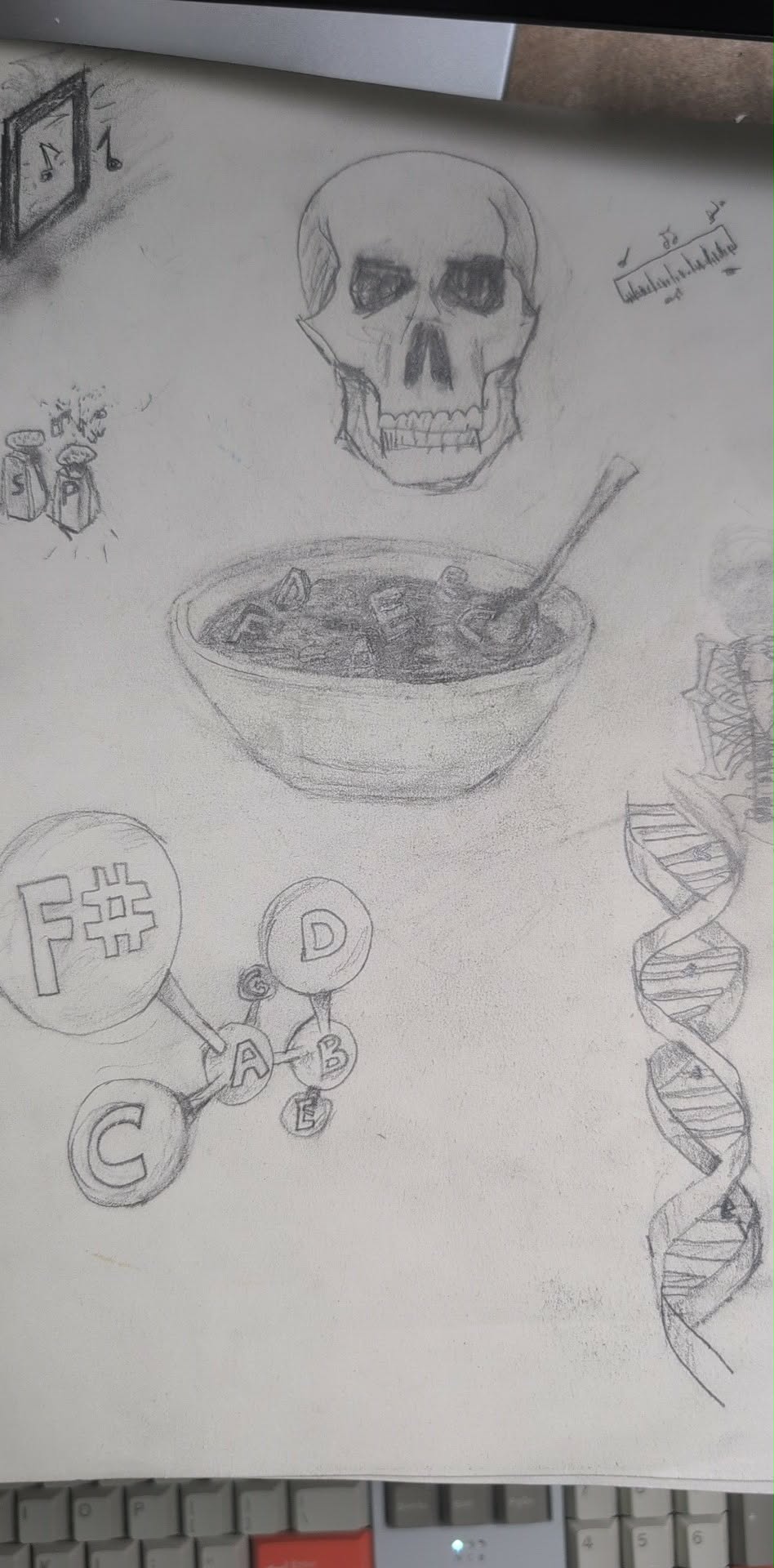 Hand drawn illustrations from the book